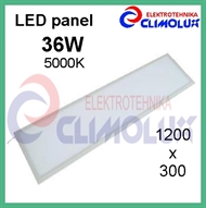 LED panel light, 36W/5000K 1200x300 white